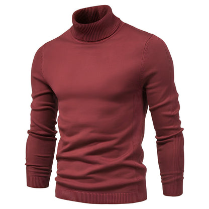 Harvey - Stilvoller Herrenrollkragenpullover